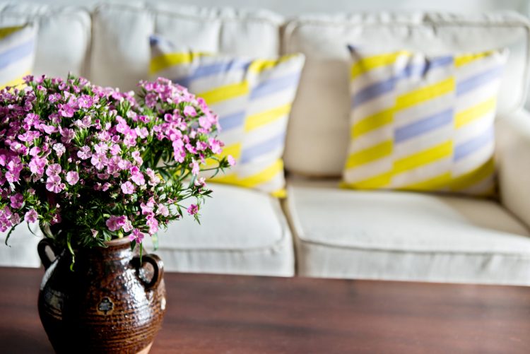 Spring Couch | Spring Cleaning | Spring Allergies | Indoor Air Quality | HVAC Services