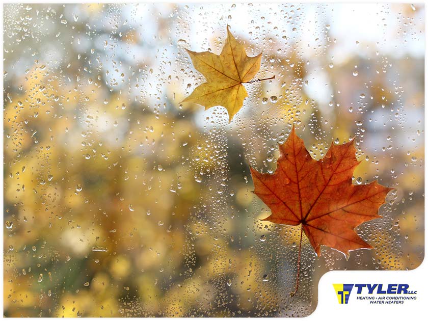 Why Raise Indoor Humidity Levels During Fall and Winter