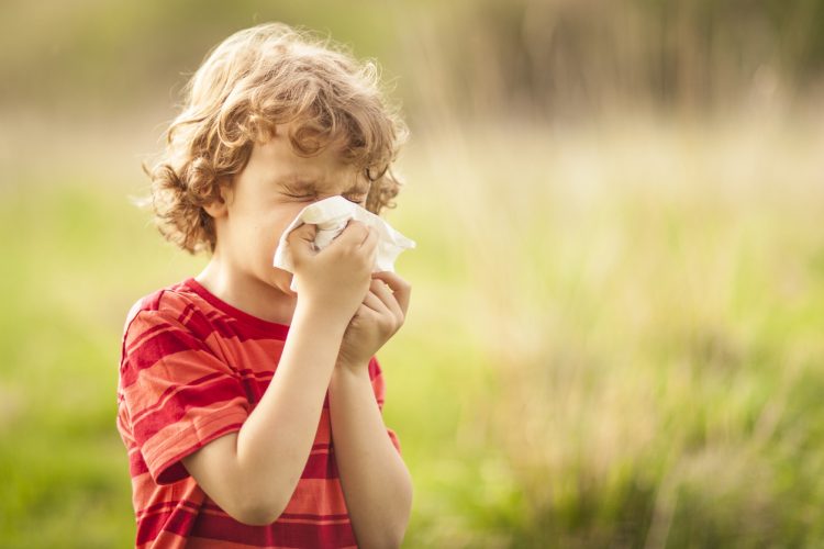 5 Common Asthma Allergy Triggers In The Home 1