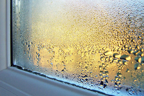 How To Stop Icky Window Condensation