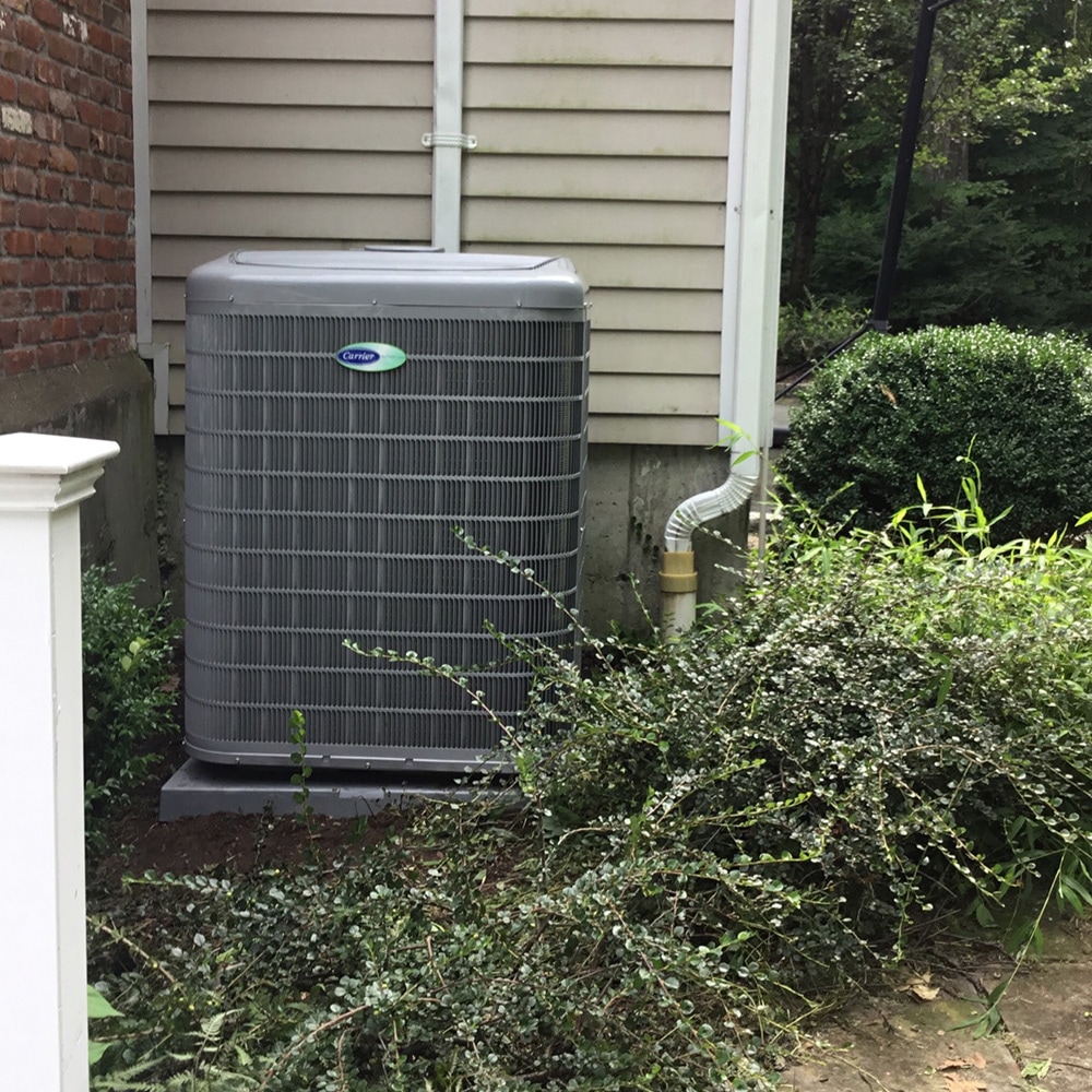Carrier air conditioning condenser unit framed by foliage