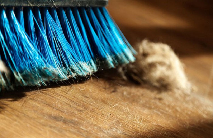 How To Create A Dust Free Home